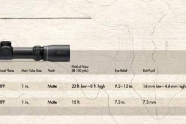 Burris Scopes 200269 Scout Riflescope Review