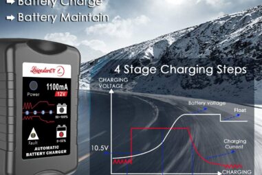 LST Battery Trickle Charger Review