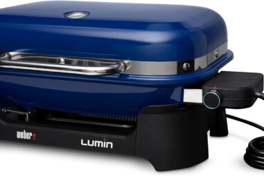 Weber Lumin Compact Outdoor Electric Barbecue Grill Review