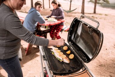 Weber Traveler Portable Gas Grill Review