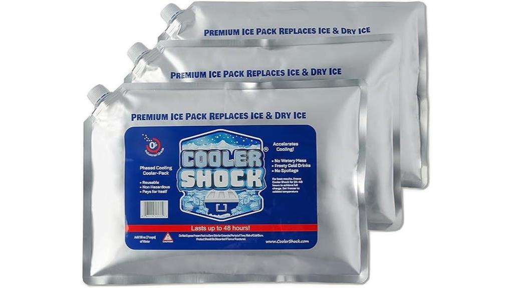 reusable ice packs cooler