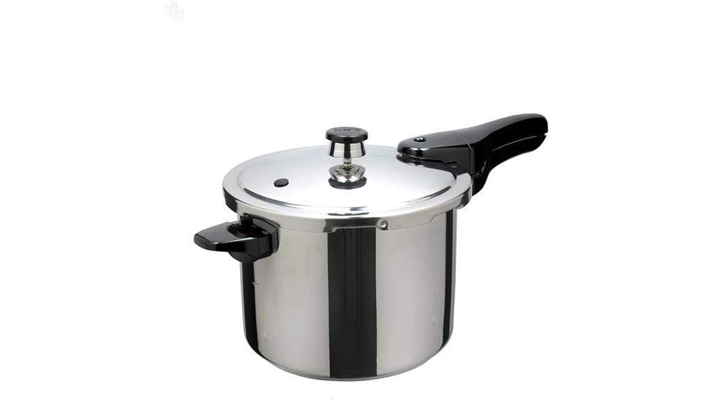 stainless steel pressure cooker